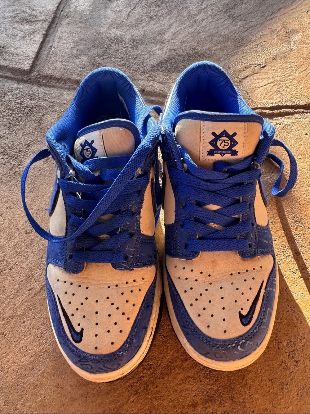 Nike dunk low